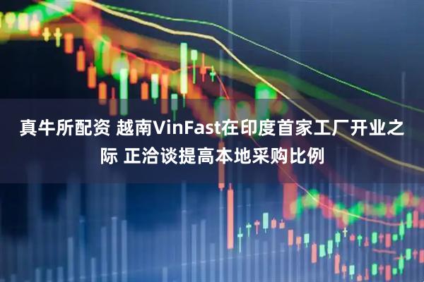 真牛所配资 越南VinFast在印度首家工厂开业之际 正洽谈提高本地采购比例