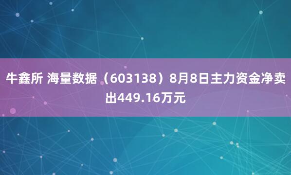 牛鑫所 海量数据（603138）8月8日主力资金净卖出449.16万元